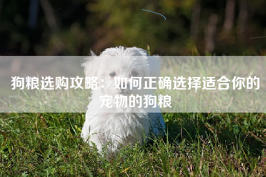 狗粮选购攻略：如何正确选择适合你的宠物的狗粮