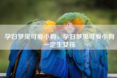 孕妇梦见可爱小狗、孕妇梦见可爱小狗一定生女孩