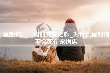 星期狗：一周的宠物之旅_为什么星期狗不会死在宠物店
