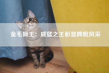 金毛狮王：威猛之王彰显睥睨风采