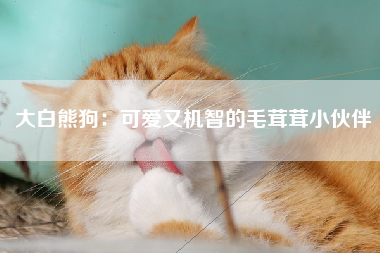 大白熊狗：可爱又机智的毛茸茸小伙伴