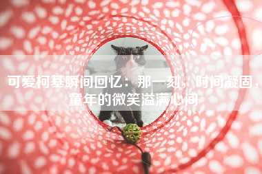 可爱柯基瞬间回忆：那一刻，时间凝固，童年的微笑溢满心间