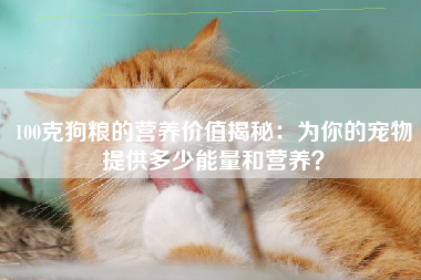 100克狗粮的营养价值揭秘：为你的宠物提供多少能量和营养？