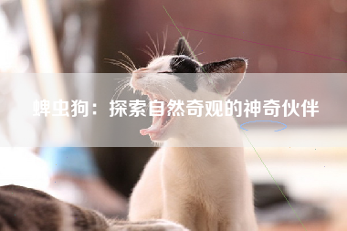 蜱虫狗：探索自然奇观的神奇伙伴
