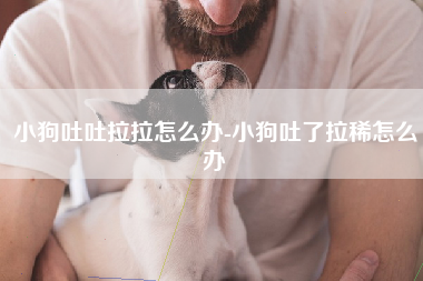 小狗吐吐拉拉怎么办-小狗吐了拉稀怎么办