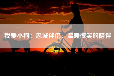 我爱小狗：忠诚伴侣、温暖微笑的陪伴