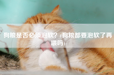 狗粮是否必须泡软？(狗粮都要泡软了再喂吗)