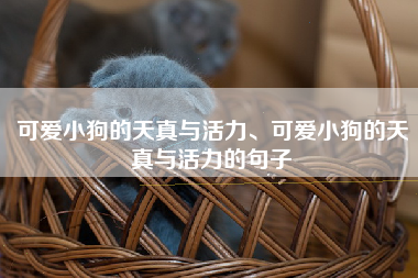 可爱小狗的天真与活力、可爱小狗的天真与活力的句子