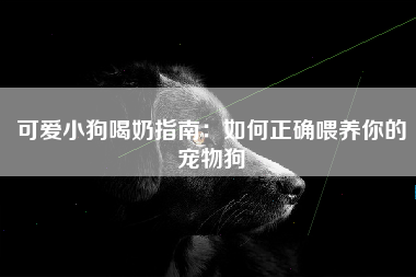 可爱小狗喝奶指南：如何正确喂养你的宠物狗