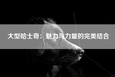 大型哈士奇：魅力与力量的完美结合