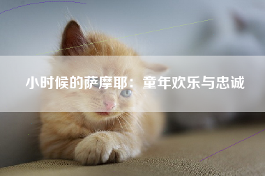 小时候的萨摩耶：童年欢乐与忠诚