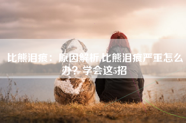 比熊泪痕：原因解析,比熊泪痕严重怎么办？学会这5招