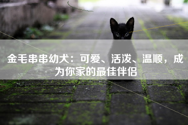 金毛串串幼犬：可爱、活泼、温顺，成为你家的最佳伴侣