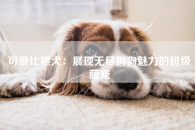 可爱比熊犬：展现无尽狗狗魅力的超级萌宠
