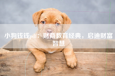 小狗钱钱pdf：财商教育经典，启迪财富智慧