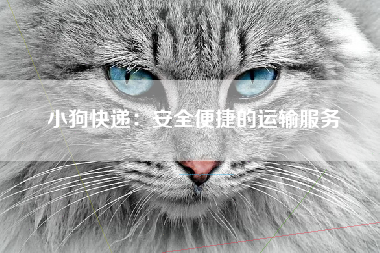 小狗快递：安全便捷的运输服务