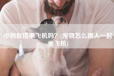 小狗能搭乘飞机吗？(宠物怎么跟人一起坐飞机)