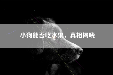 小狗能否吃水果，真相揭晓