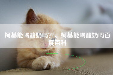 柯基能喝酸奶吗？、柯基能喝酸奶吗百度百科