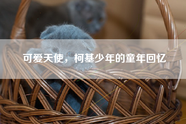 可爱天使，柯基少年的童年回忆