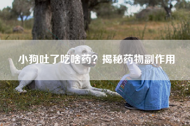 小狗吐了吃啥药？揭秘药物副作用
