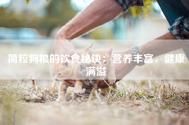 简粒狗粮的饮食秘诀：营养丰富，健康满溢