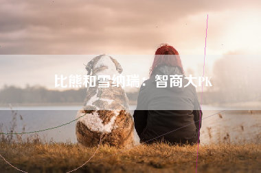 比熊和雪纳瑞：智商大PK
