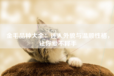 金毛品种大全：迷人外貌与温顺性格，让你爱不释手