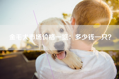 金毛犬市场价格一览：多少钱一只？