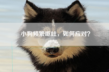 小狗频繁呕吐，如何应对？