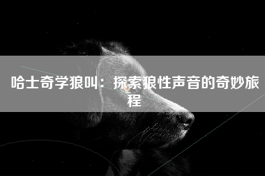 哈士奇学狼叫：探索狼性声音的奇妙旅程