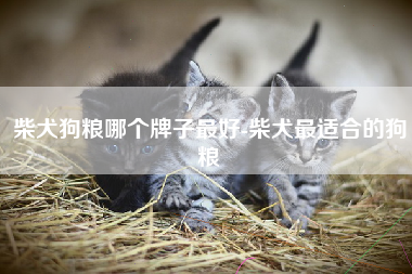 柴犬狗粮哪个牌子最好-柴犬最适合的狗粮