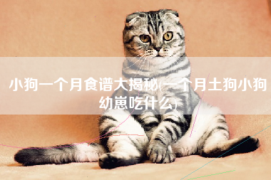 小狗一个月食谱大揭秘(一个月土狗小狗幼崽吃什么)
