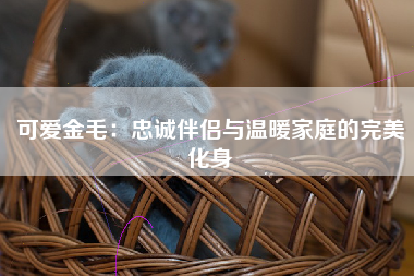 可爱金毛：忠诚伴侣与温暖家庭的完美化身