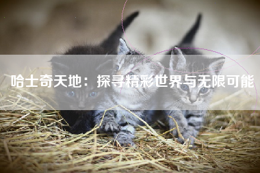 哈士奇天地：探寻精彩世界与无限可能