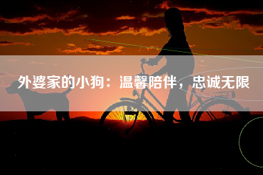 外婆家的小狗：温馨陪伴，忠诚无限