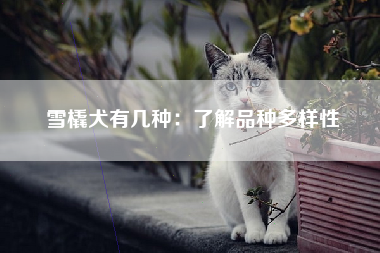 雪橇犬有几种：了解品种多样性