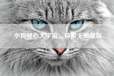 小狗疑心大宇宙：探索无限星辰