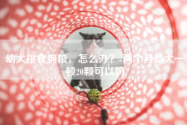 幼犬挑食狗粮，怎么办？-两个月幼犬一顿20颗可以吗