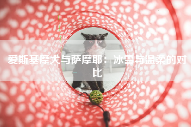爱斯基摩犬与萨摩耶：冰雪与温柔的对比