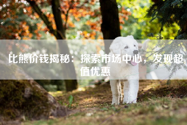 比熊价钱揭秘：探索市场中心，发现超值优惠