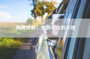 狗窝世界：宠物享受的天地