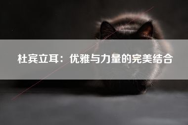 杜宾立耳：优雅与力量的完美结合