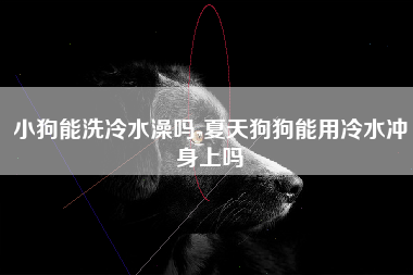 小狗能洗冷水澡吗-夏天狗狗能用冷水冲身上吗