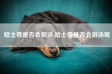 哈士奇是否会游泳,哈士奇是否会游泳呢