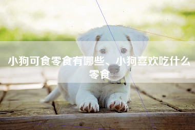 小狗可食零食有哪些、小狗喜欢吃什么零食