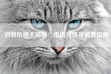 边牧价格大揭秘：市场行情及消费指南