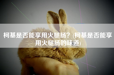 柯基是否能享用火腿肠？(柯基是否能享用火腿肠的味道)
