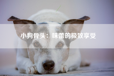小狗骨头：味蕾的极致享受