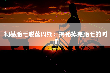 柯基胎毛脱落周期：揭秘掉完胎毛的时间